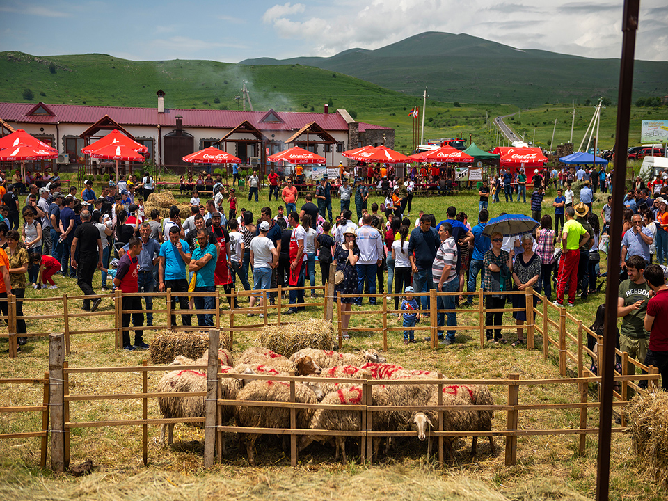 Ոչխարի Խուզման Փառատոն 2019